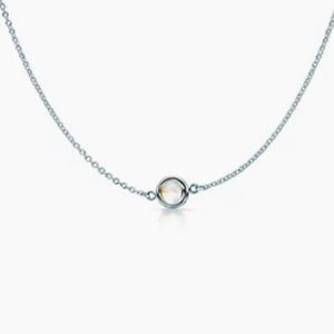 Tiffany Elsa Peretti Color by the Yard Pendant in Silver w/ Moonstone